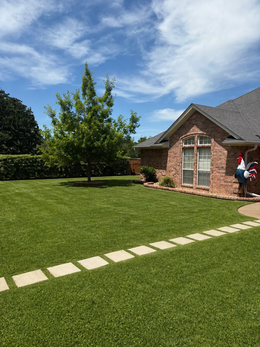 Thick, freshly striped St. Augustine lawn with stepping stones beside a brick home