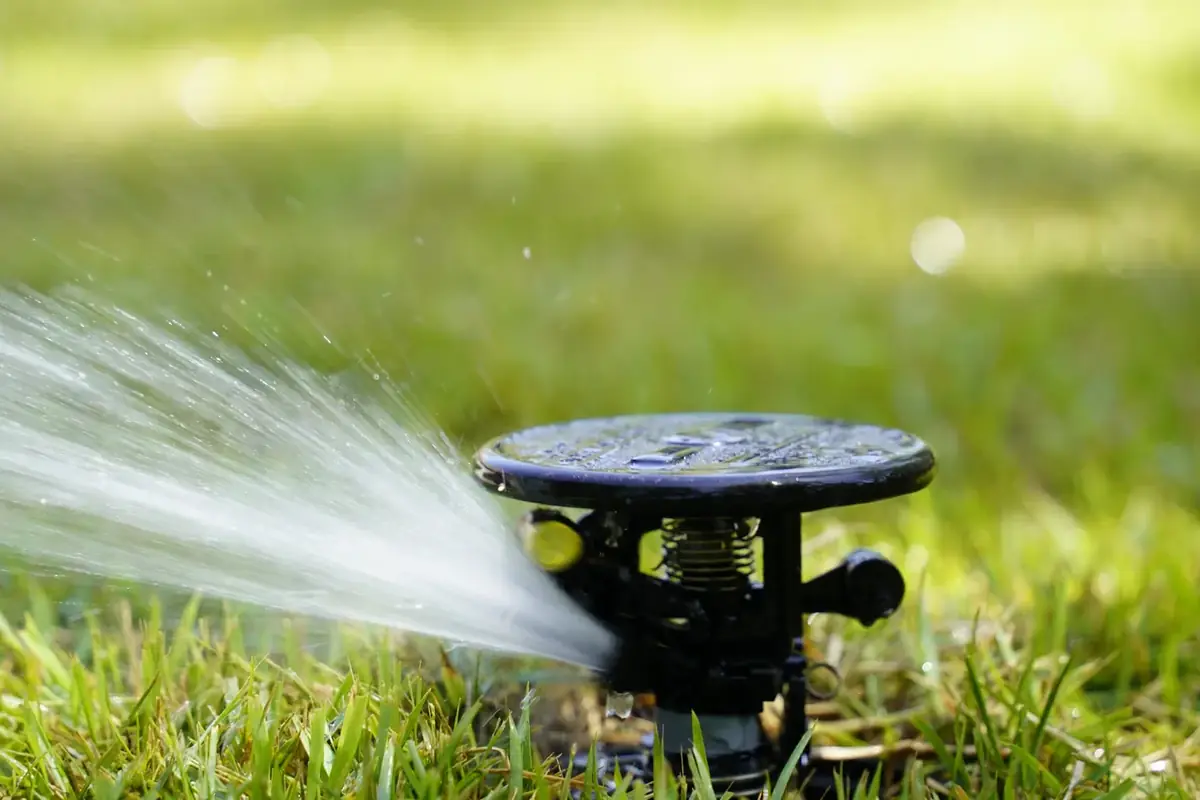 Sprinkler watering a lawn