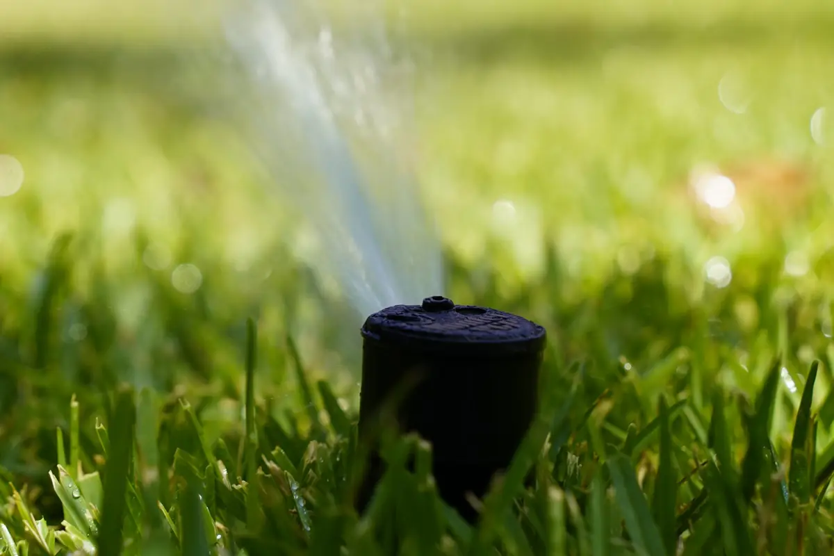 Pop-up sprinkler head spraying water across a green lawn
